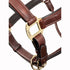 LeMieux Stitched Anatomical Leather Halter